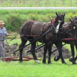 Plow Match