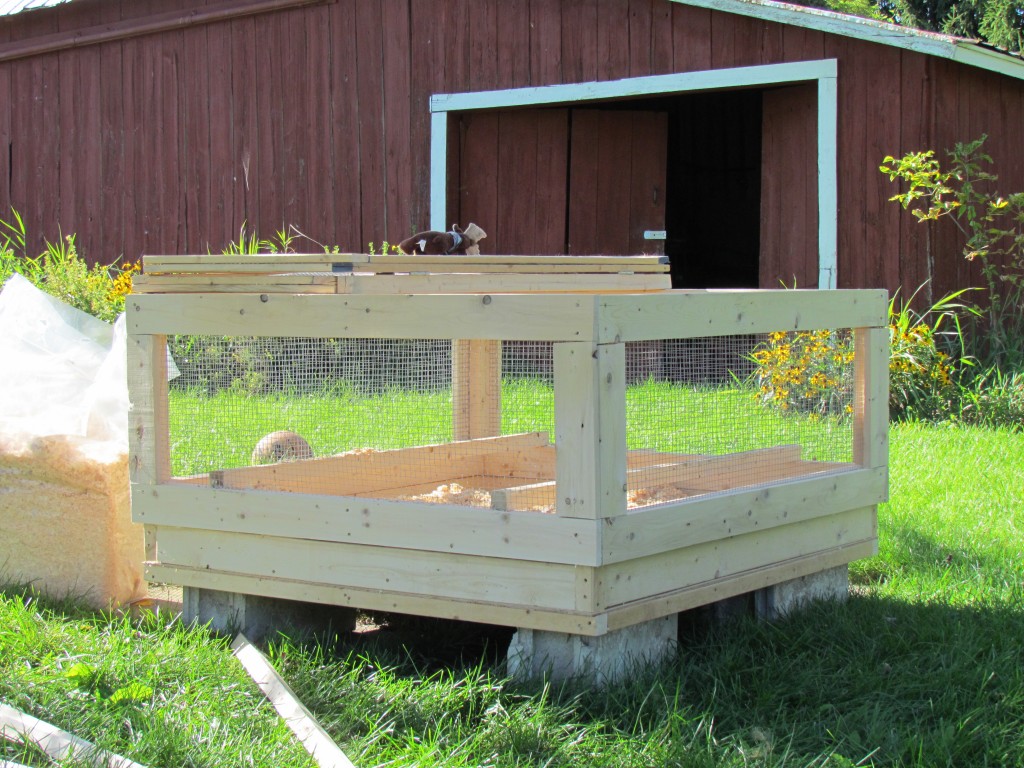 Chickens, Brooders, Coops…. Oh my!