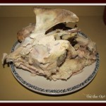 turkey carcus