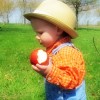 Sam's apple