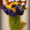 flowers flowers