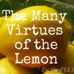 The many virtues of the Lemon The many virtues of the Lemon
