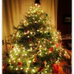 Christmas tree Christmas tree