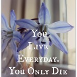 Choosing to LIVE Everyday!